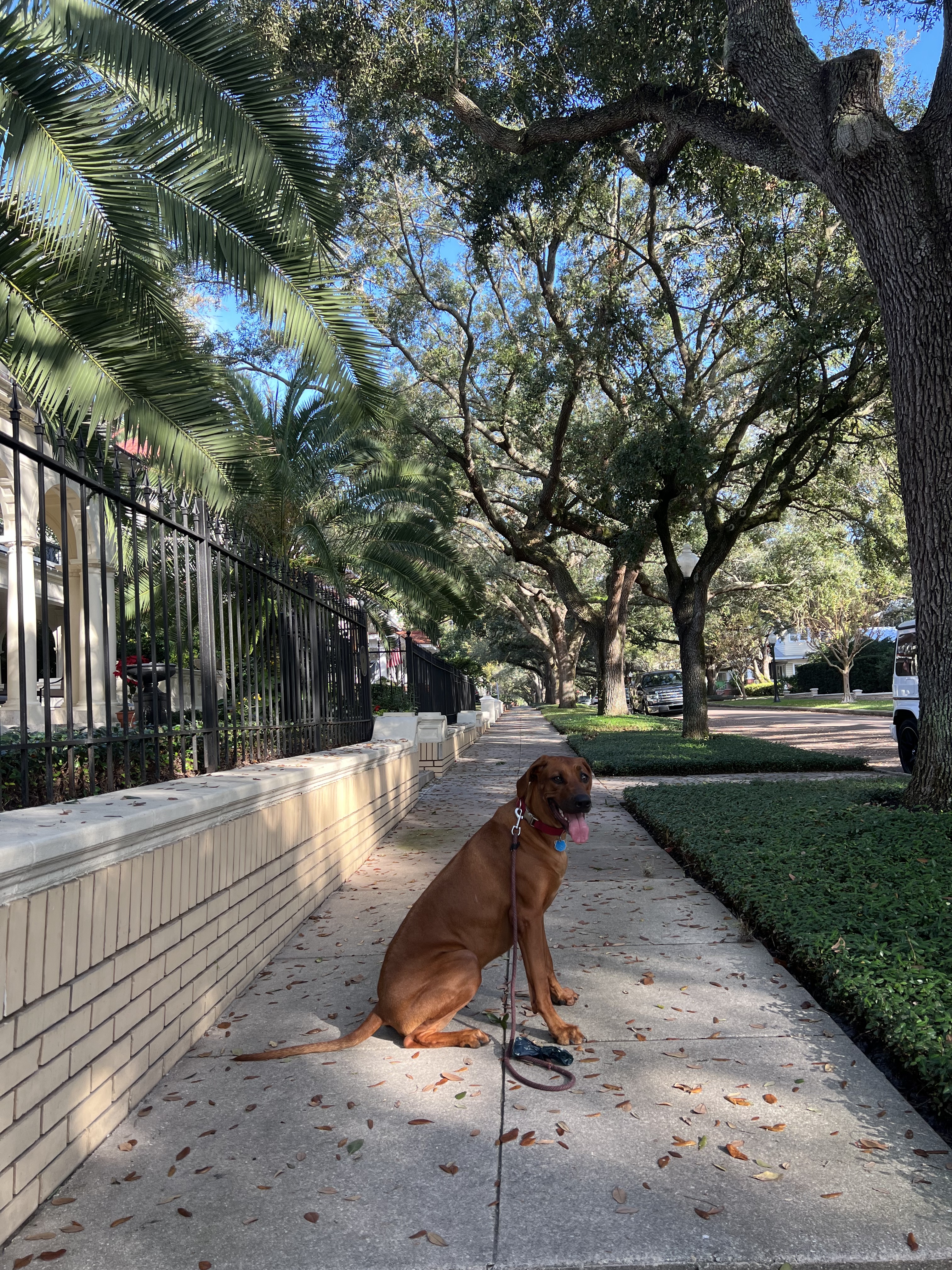 Ruby on Sidewalk